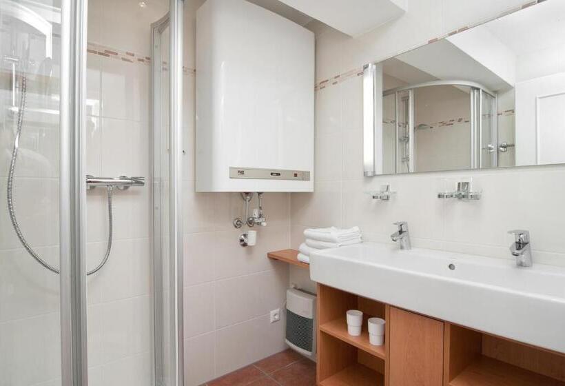 带1个卧室的高级公寓, Schützenhof