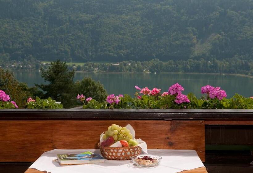 带1个卧室的公寓, Schützenhof