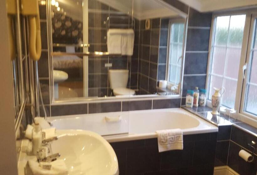 スーペリアールーム, The Andel