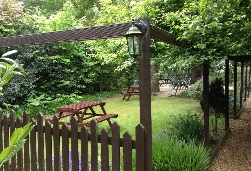 スタンダードルーム, The Andel