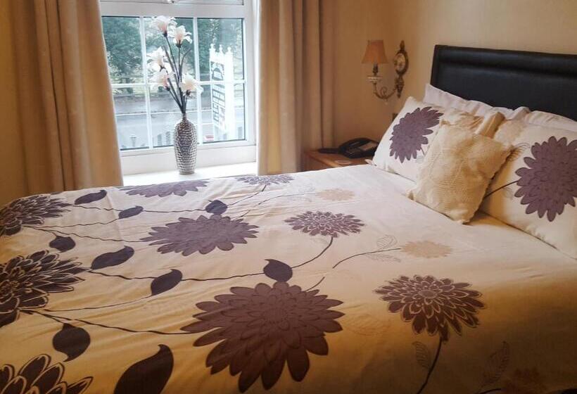 スタンダードルーム, The Andel