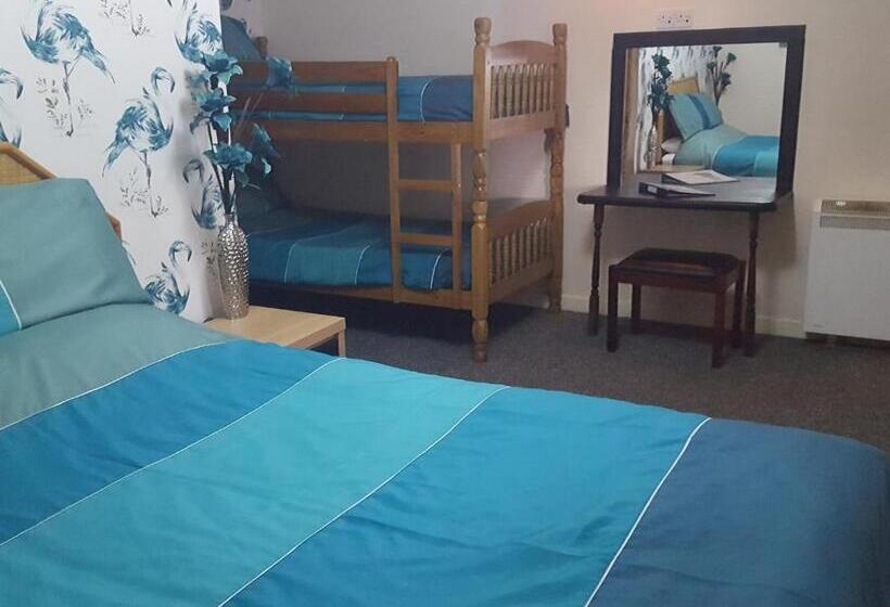 スタンダード４人部屋, The Andel