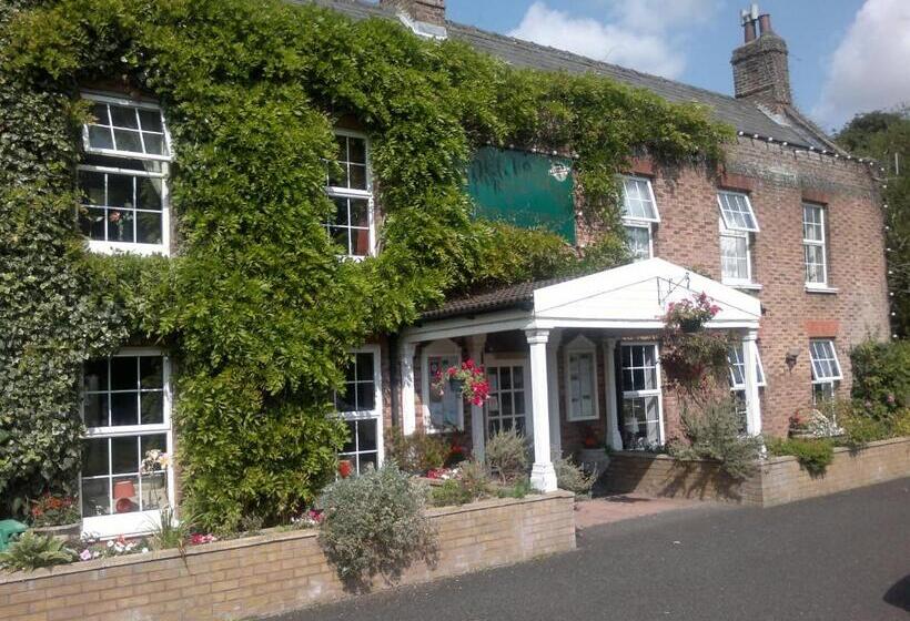 スタンダード４人部屋, The Andel