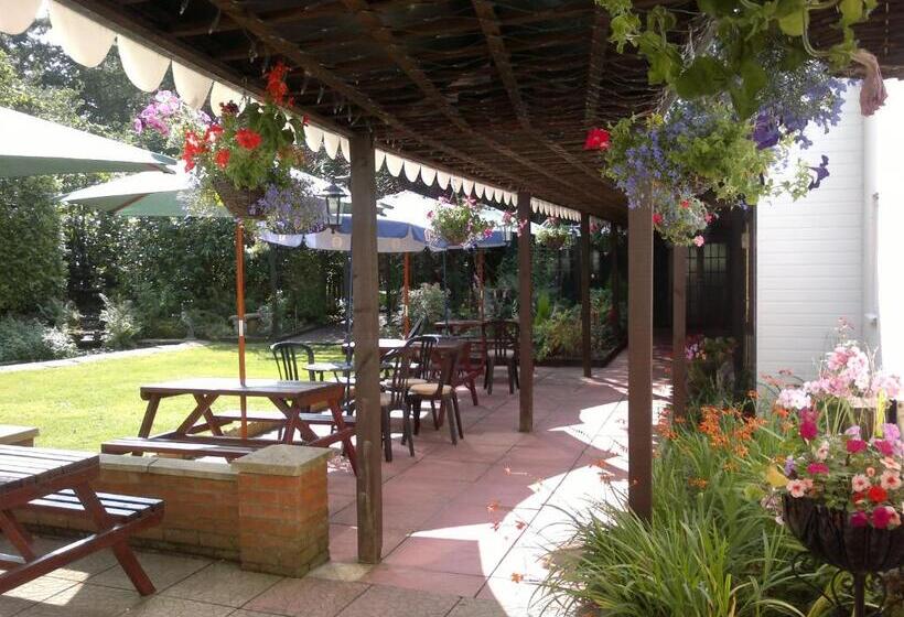 デラックスルーム, The Andel