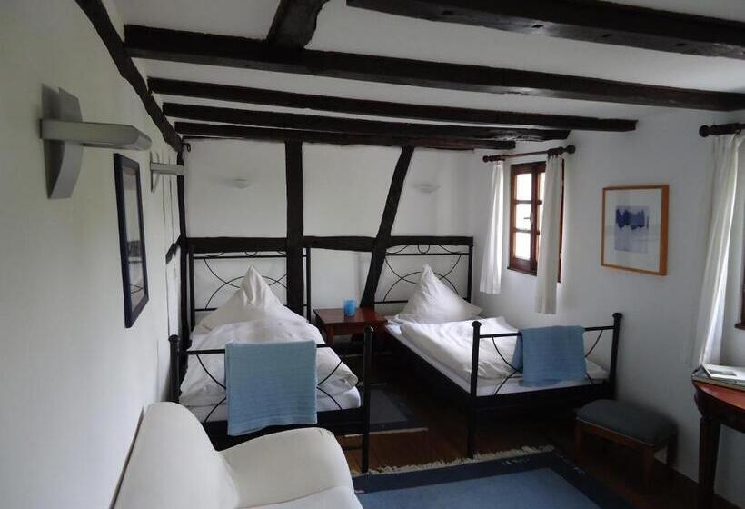 اتاق استاندارد, Am Alten Fronhof