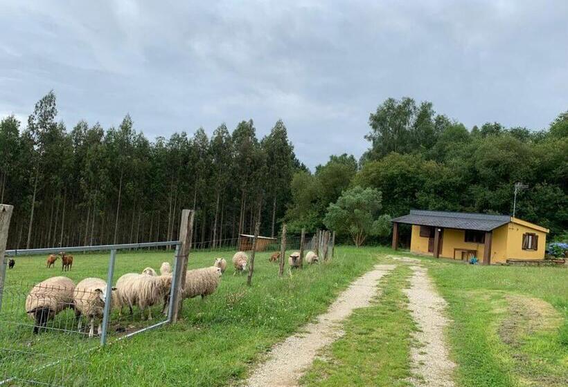 2 Sovrums Lägenhet, Casa Da Roxa