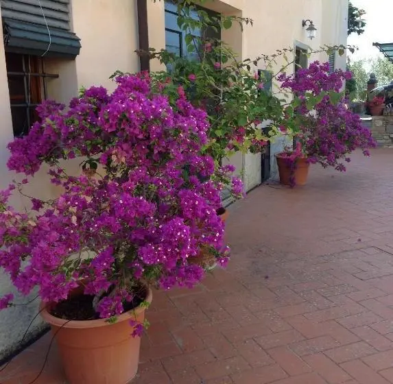 2ベッドルームアパートメント, Agriturismo Le Ginestruzze