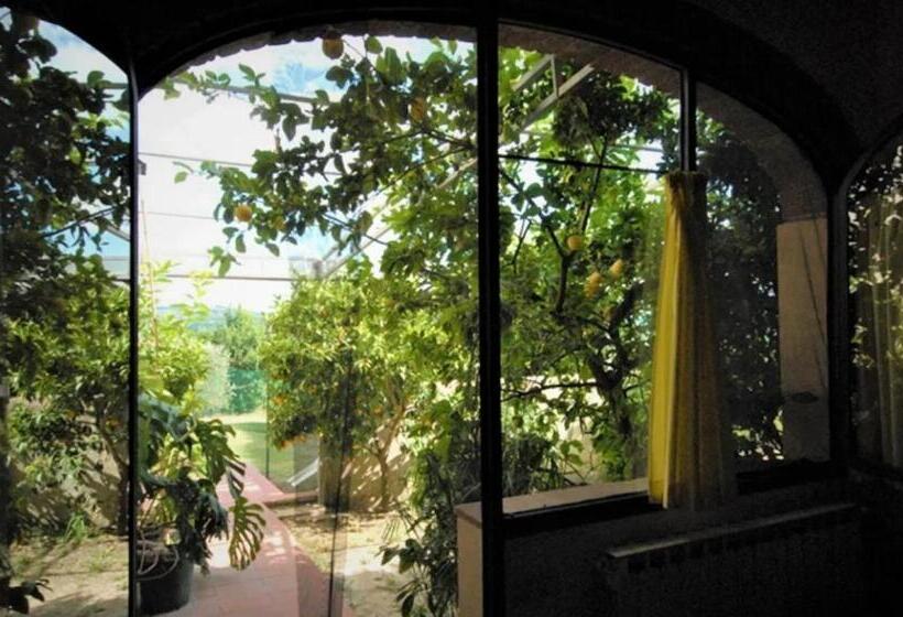 ３ベッドルームアパートメント, Agriturismo Le Ginestruzze