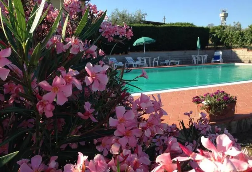 1ベッドルームアパートメント, Agriturismo Le Ginestruzze