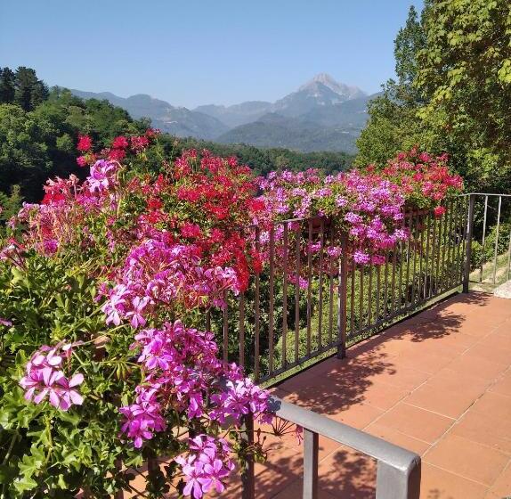 דירת חדר בקומת קרקע, La Vignola