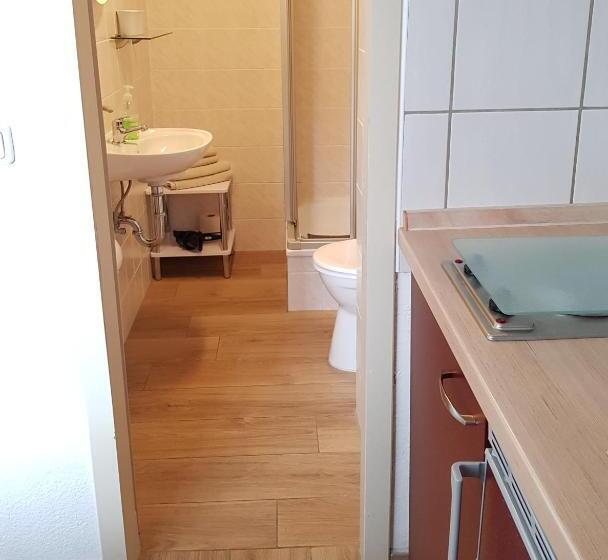 带露台的标准工作室, Pension Forsthaus Garz