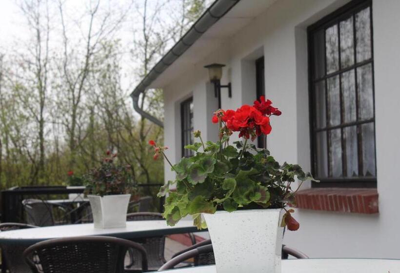 带2个卧室的公寓, Pension Forsthaus Garz