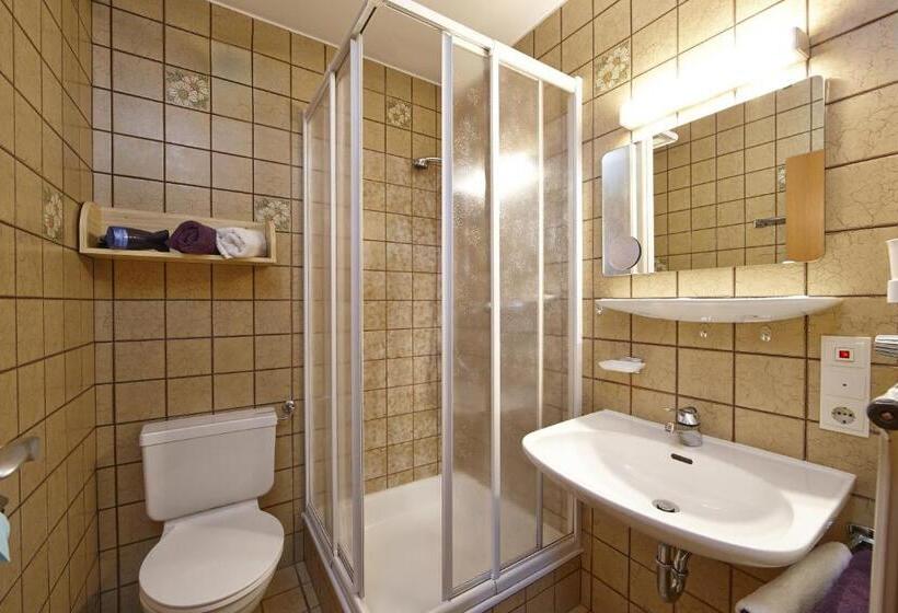 غرفة قياسية, Gästehaus Alpina