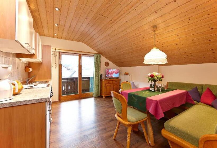 شقة غرفة نوم واحدة مزودة بشُرفة, Gästehaus Alpina