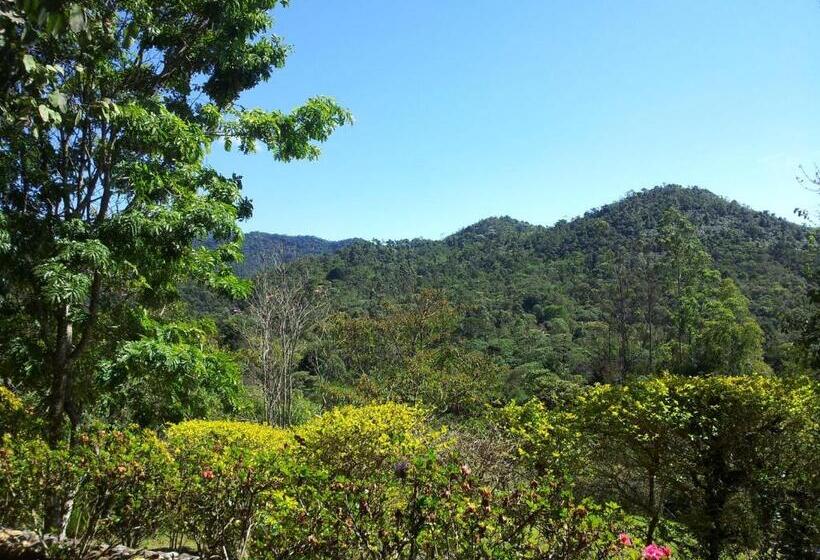 1 베드룸 디럭스 스위트, Pousada Terras Altas