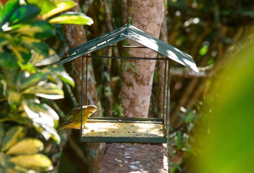 스탠다드 스튜디오, Pousada Terras Altas