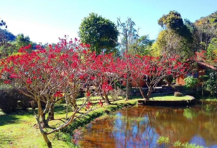 디럭스 스튜디오, Pousada Terras Altas