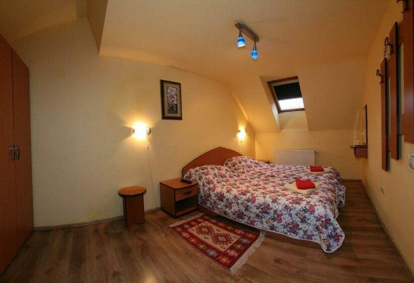 经济房, Pension Casa Timar