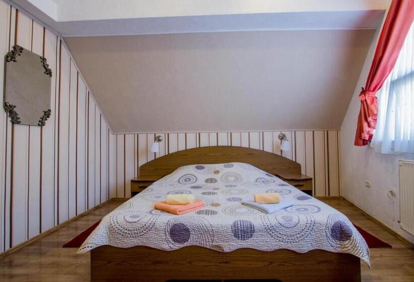 Номер Superior, Pension Casa Timar