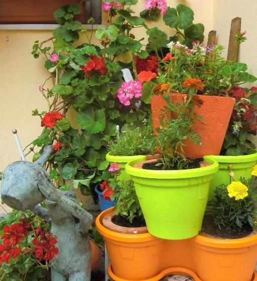 빌라 침실 1개, Pension Casa Timar