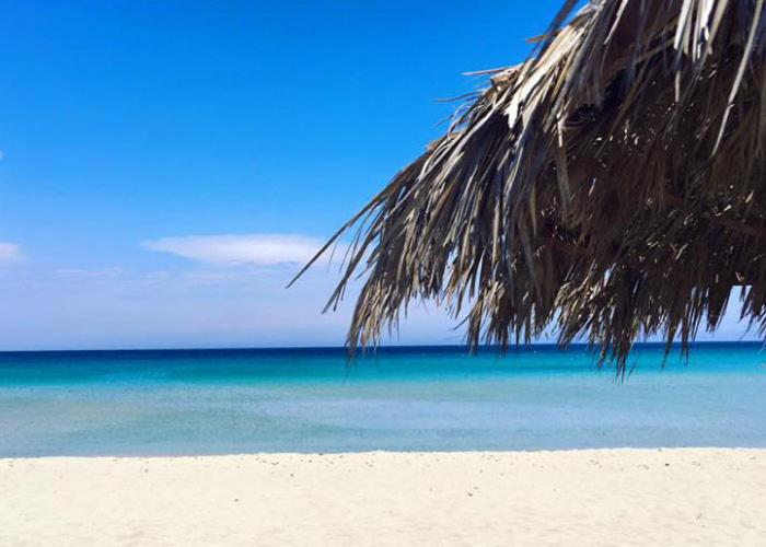 דירת חדר בקומת קרקע, Agua Residence