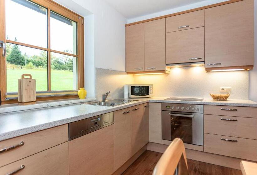 Апартаменты Superior 2 Спальни, Brandstatthof Leogang