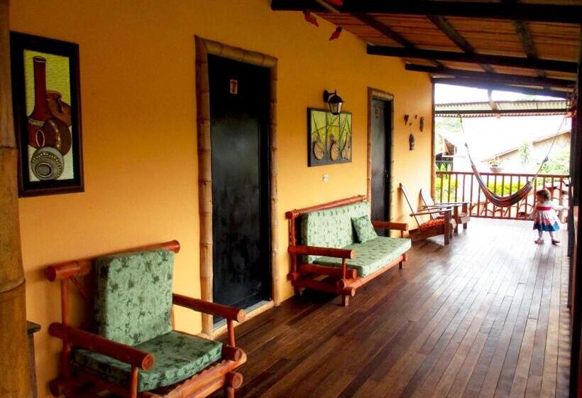 スタンダードルーム, Alto De Los Andaquies