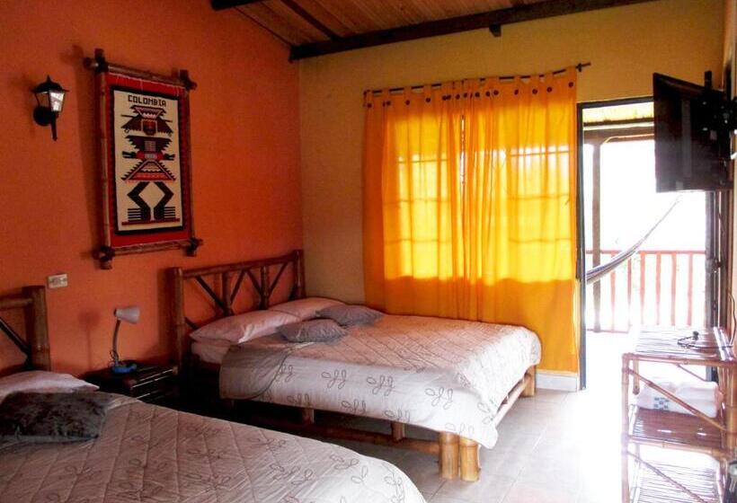 スタンダードルーム, Alto De Los Andaquies