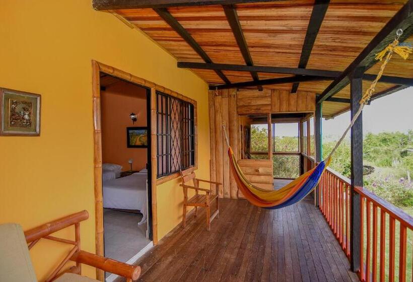 スタンダードルーム, Alto De Los Andaquies