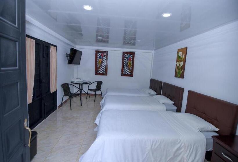 スタンダードトリプルルーム, Alto De Los Andaquies