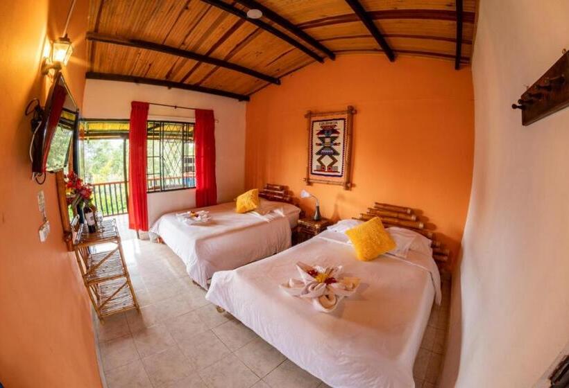 スタンダードトリプルルーム, Alto De Los Andaquies