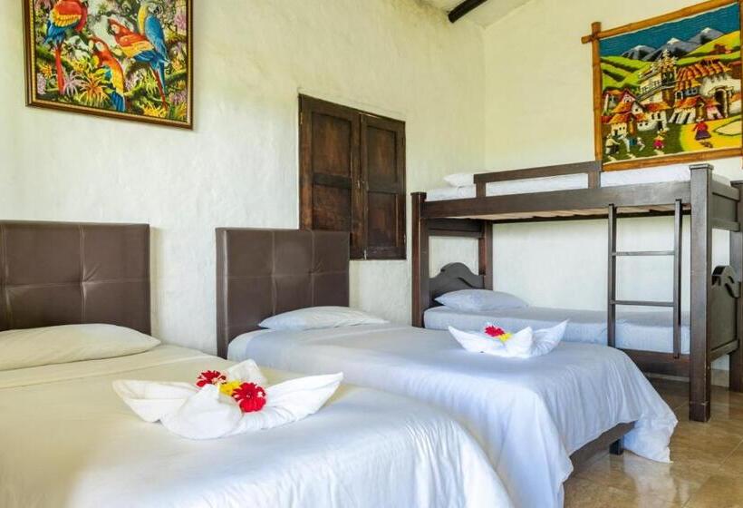 スタンダード４人部屋, Alto De Los Andaquies