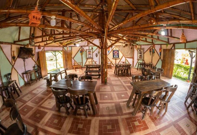 スタンダードシングルルーム, Alto De Los Andaquies