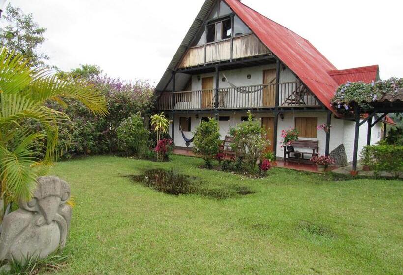 スタンダードシングルルーム, Alto De Los Andaquies