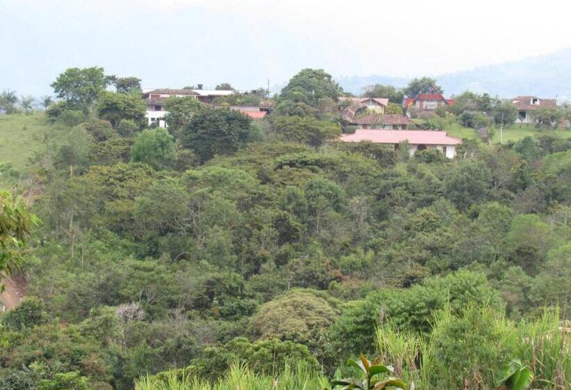 スタンダードシングルルーム, Alto De Los Andaquies