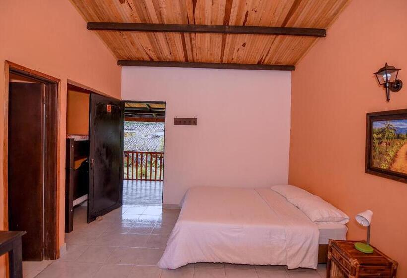 スタンダードシングルルーム, Alto De Los Andaquies