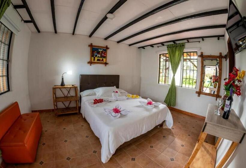 スタンダードルーム, Alto De Los Andaquies