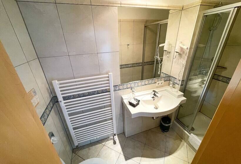 スタンダードシングルルーム, Bischofshof Braustuben