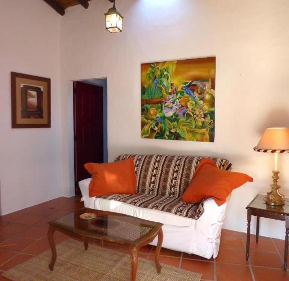 جناح جونيور, Monte Do Laranjal