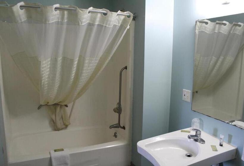 غرفة قياسية سرير كينج لذوى الإحتياجات الخاصة, Raceway Inn