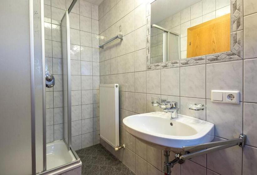 Апартаменты 1 Спальня, Haus Dorfschmied