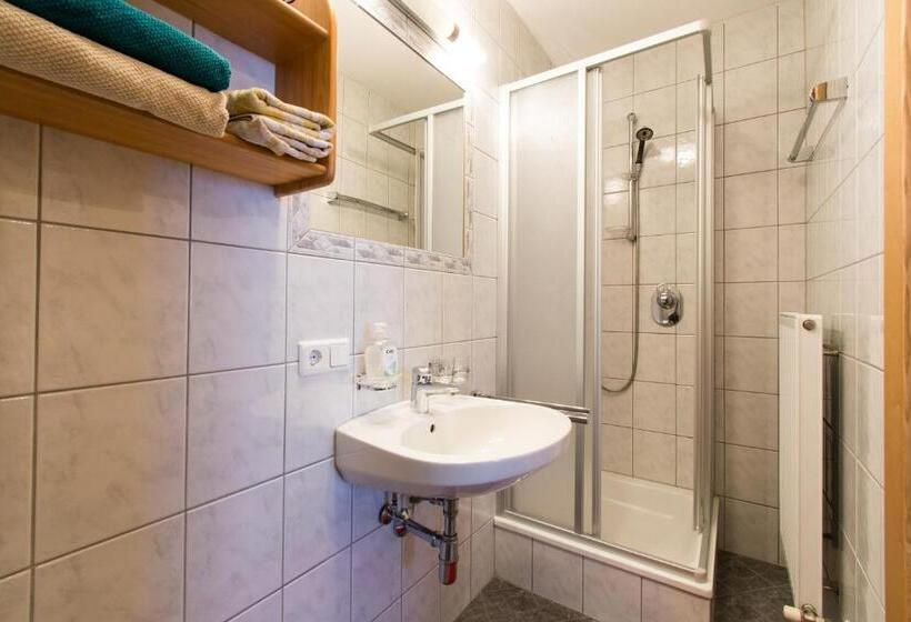 Апартаменты 1 Спальня, Haus Dorfschmied