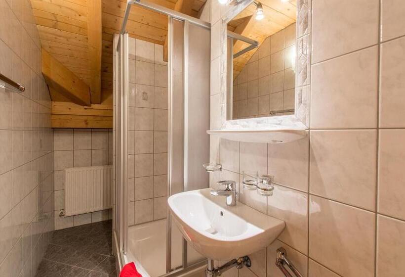 Апартаменты Пентхаус 1 Спальня, Haus Dorfschmied