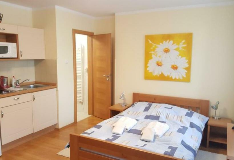 חדר סטודיו סטנדרד, Jihoceska Pohoda