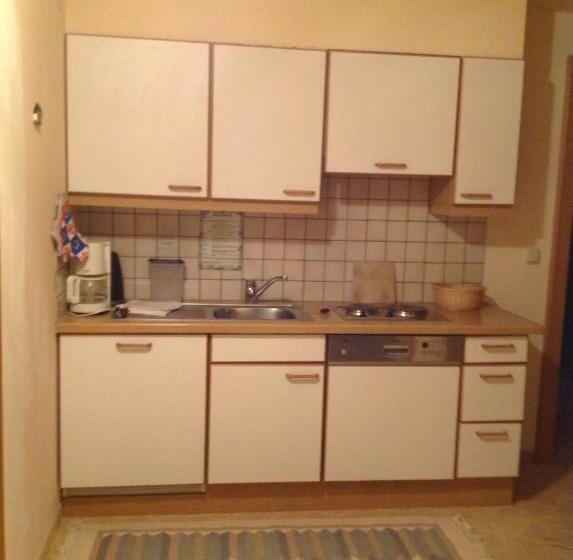 Апартаменты 2 Спальни, Apart & Pension Wassermann Inklusive Sommerbergbahnticket