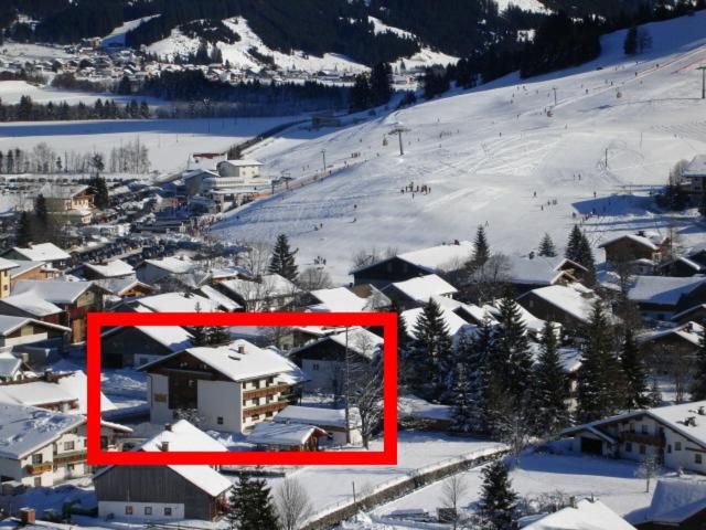 Апартаменты 1 Спальня, Apart & Pension Wassermann Inklusive Sommerbergbahnticket