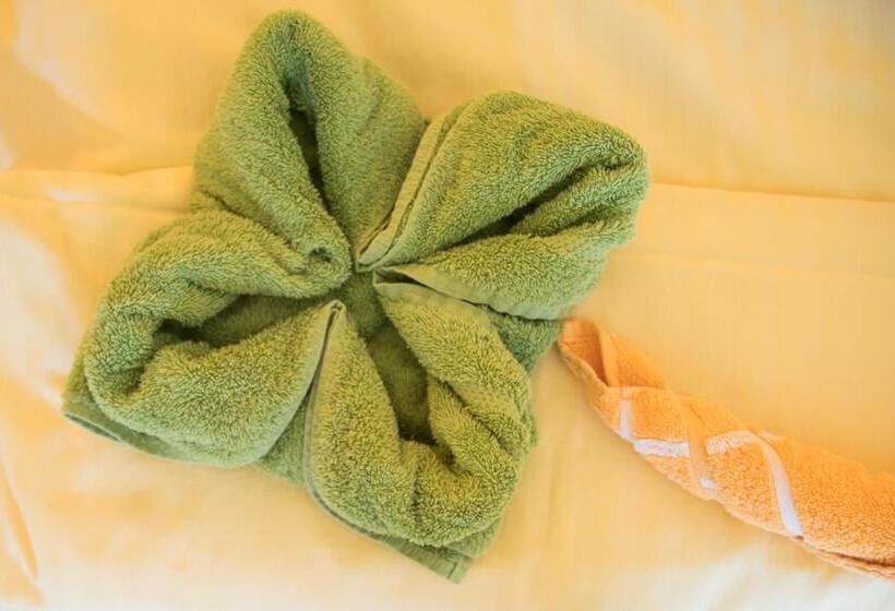 Номер Basic с Балконом, Apart & Pension Wassermann Inklusive Sommerbergbahnticket