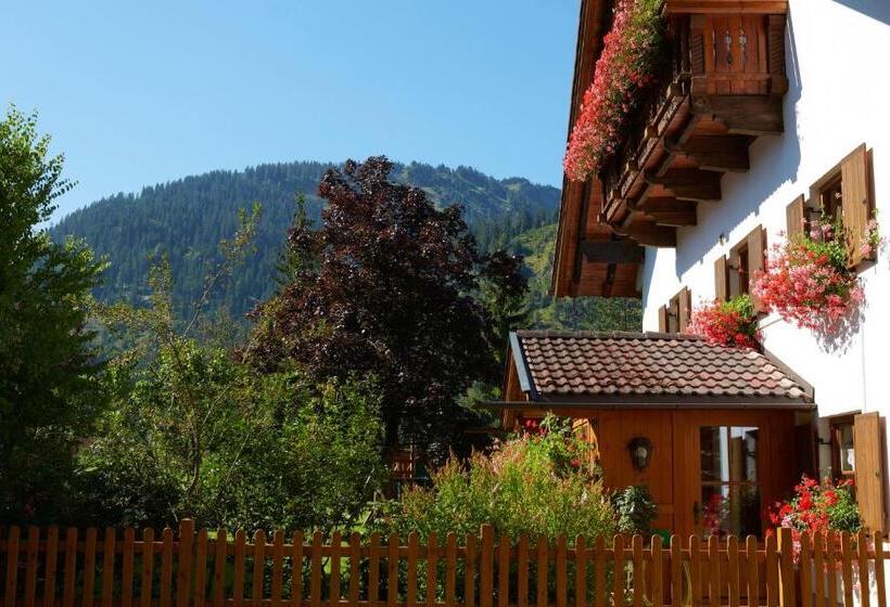 Стандартный Номер Нижний Этаж, Apart & Pension Wassermann Inklusive Sommerbergbahnticket