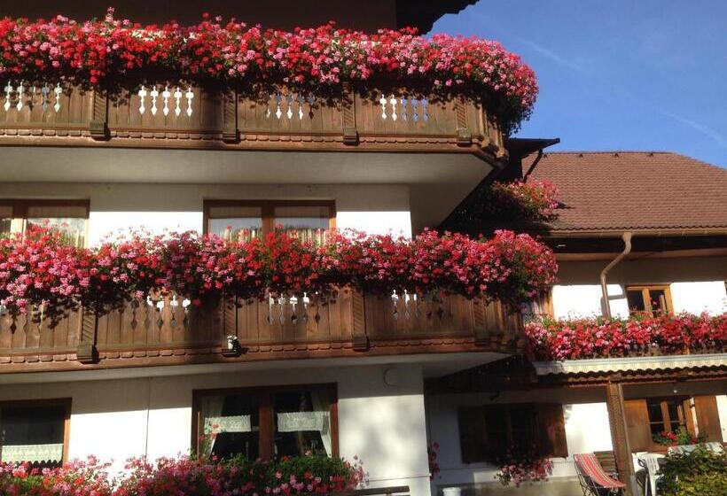 Номер Стандарт с Балконом, Apart & Pension Wassermann Inklusive Sommerbergbahnticket