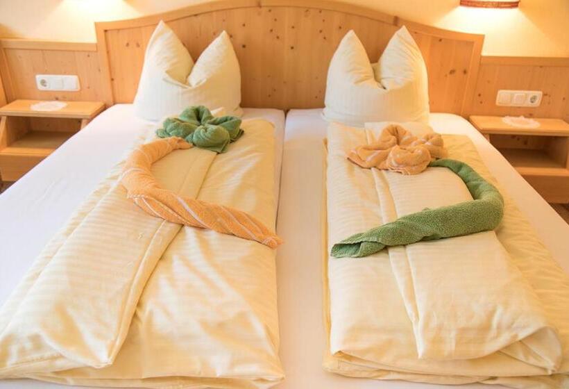 Номер Стандарт с Балконом, Apart & Pension Wassermann Inklusive Sommerbergbahnticket